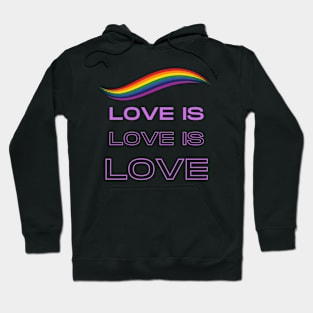 Rainbow pride love winds LGBTQ ally Hoodie